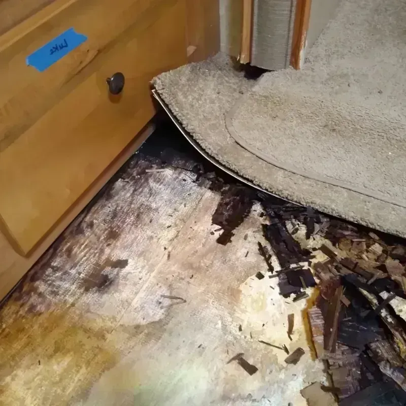 Best Wood Floor Water Damage Service in Elsmere, DE